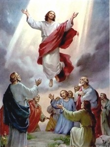 The Ascension of Our Lord